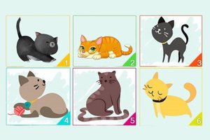 Pasirinkite kačiuką – sužinosite ryškiausią savo charakterio bruožą