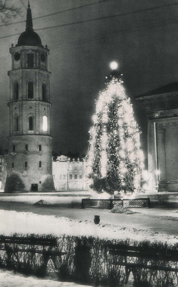 Kalėdų eglė Katedros aikštėje, Vilniuje, 1958 metais.<br>G.Baltrimo/madeinvilnius.lt nuotr.