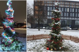 Kalėdų eglė įplieskė tikrą dramą: gyventojams tokia žaliaskarė kelia ir juoką, ir pyktį