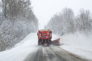 Dalyje Lietuvos įsisiautėjęs vėjas vertė iš koto apsnigtus medžius: virto ant kelių, elektros laidų, namų ir automobilių