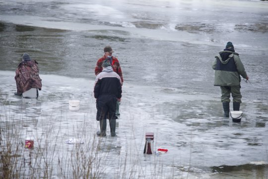 Įsigalioja draudimas žvejams mėgėjams gaudyti vėgėles