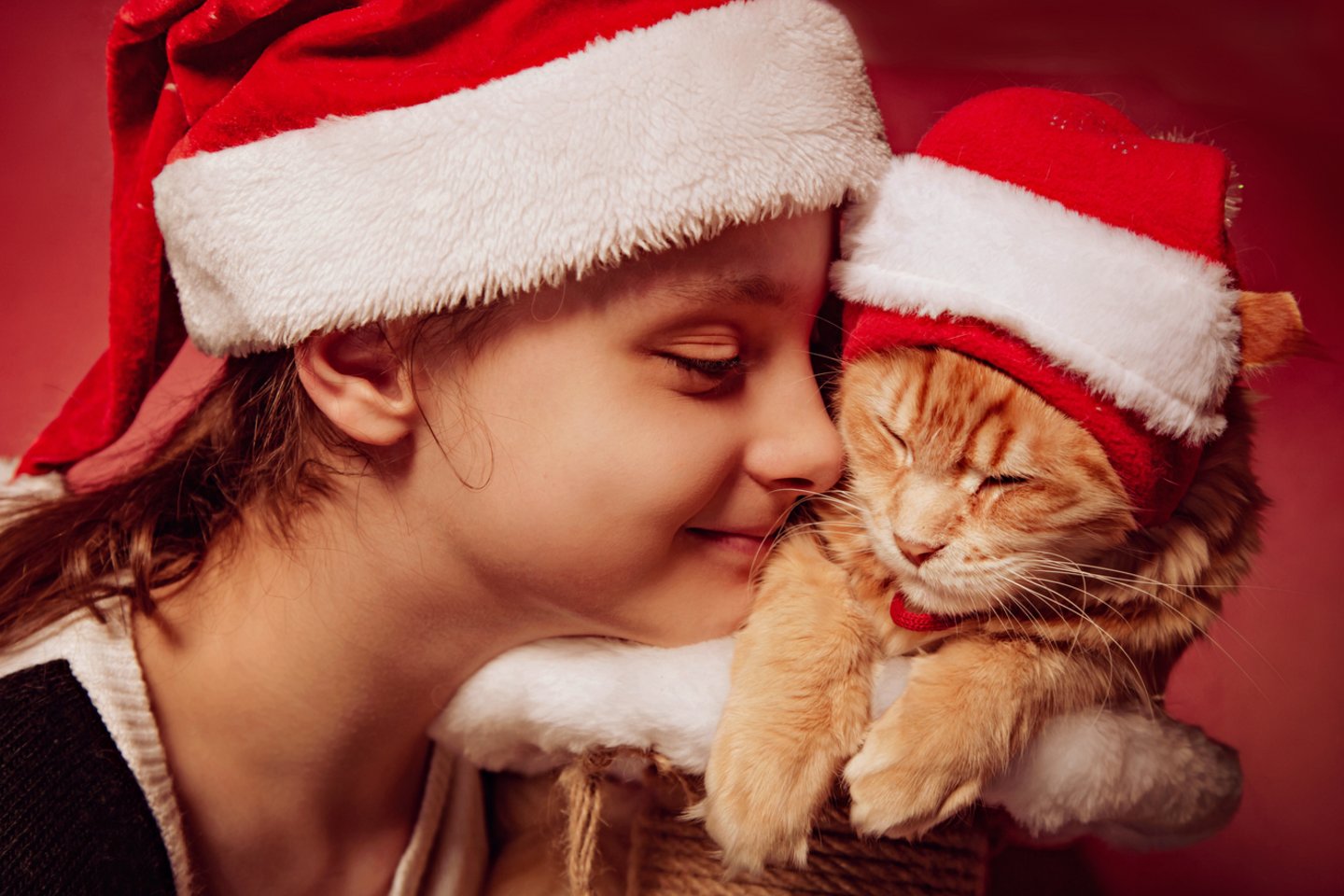  Vaikas Kalėdoms prašo šuniuko ar kačiuko? Tai įsipareigojimas 10-20 metų.<br> 123rf.com nuotr.