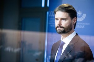 Seimas paskyrė M. Lingę į BFK, M. Majauską – į Kultūros komitetą