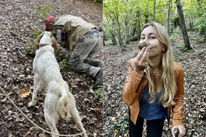 Lietuviai Italijoje pasinėrė į žemės perlais vadinamų baltųjų trumų medžioklę