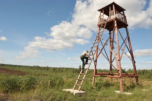 Siekiant išsaugoti Rėkyvos pelkę, jos teritorijoje ketinama iškirsti dalį medžių, krūmų