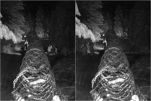 Užfiksavo, kaip Baltarusijos pasieniečiai į Lietuvą įstumia 4 afganistaniečius: 2 iš jų – nušalusiomis kojomis