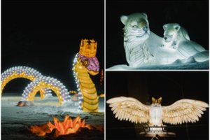 Į Rumšiškes grįžo šventinė pasaka: duris atvėrė naujas žibintų ir šviesos festivalis „1000 šviesų“