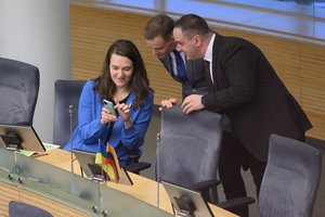 Į dienos šviesą iškilusi konservatorių problema gali tapti tikru galvos skausmu