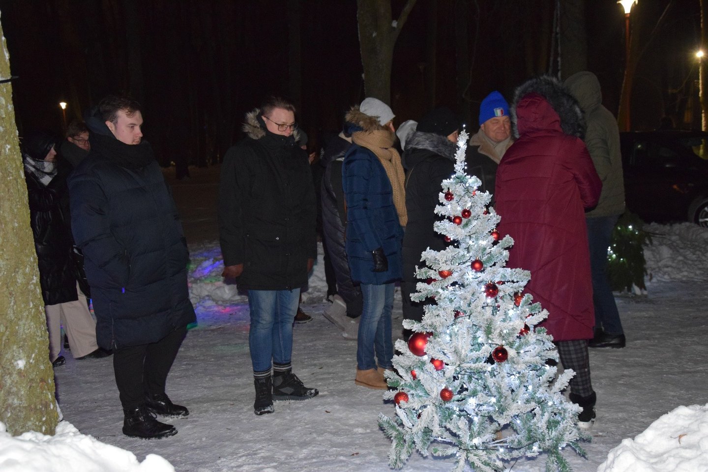 Spaudžiant šaltukui Vilkaviškyje įžiebta išskirtinėmis dekoracijomis padabinta Kalėdų eglė – nenusileidžia kitiems miestams.<br> Vilkaviškio rajono savivaldybės ir K.Inkratos nuotr.