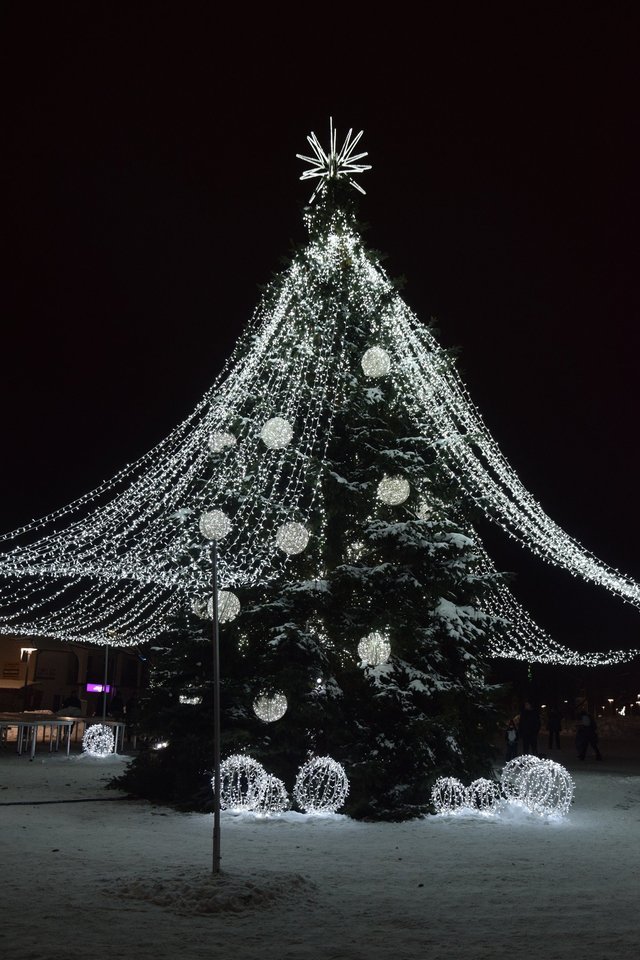 Spaudžiant šaltukui Vilkaviškyje įžiebta išskirtinėmis dekoracijomis padabinta Kalėdų eglė – nenusileidžia kitiems miestams.<br> Vilkaviškio rajono savivaldybės ir K.Inkratos nuotr.