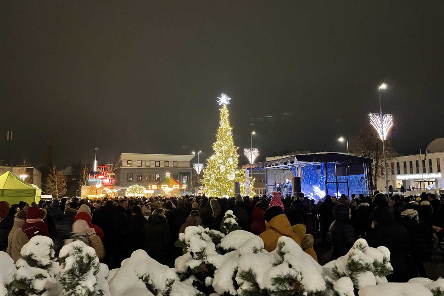 Prienuose sužibo Kalėdų eglė.<br>Prienų KLC ir Prienų r. savivaldybės nuotr.