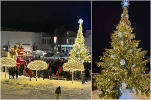 Prieniškių užauginta ir padovanota 12 m aukščio eglė virto gražiausiu Kalėdų simboliu mieste