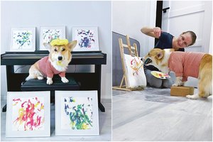 Kaunietės keturkojis vasarą miestiečius linksmino lėkdamas riedlente, o žiemą rado naują hobį – ėmė tapyti