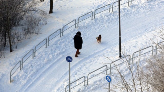 Žiema pradės dar labiau rodyti savo nagus: laukia ne tik vis krentanti temperatūra