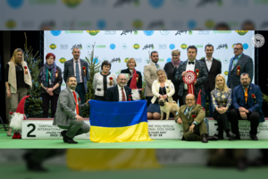 Jaunam mopsui iš Ukrainos – aukščiausias įvertinimas: tarptautinėje parodoje išrinkti ir gražiausi Lietuvos šunys