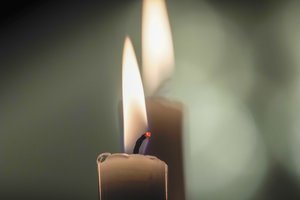 Mirė lituanistė, edukologė O. A. Bitinienė