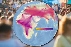 Naujausias žmonijos genealoginis medis rodo, kaip mes visi esame susiję