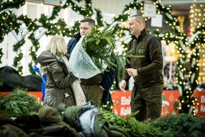 Miškininkų dovanos gyventojams: visoje Lietuvoje išdalino tūkstančius eglių šakų