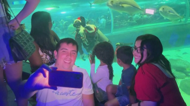 Prieš ilgiausią metų kelionę, Kalėdų Senelis pramogauja: Rio de Žaneire lankytojus džiugino plaukiodamas akvariume