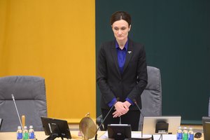 V. Čmilytė-Nielsen įvertino besibaigiančią Seimo sesiją: ateis momentas, kai niekas nestabdys reikalingų sprendimų
