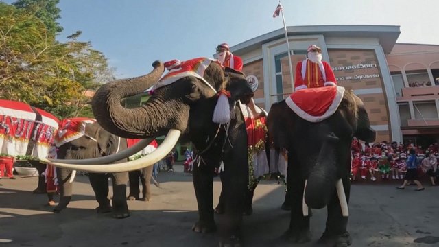 Tūkstančiai susižavėjusių mokinių: Kalėdų Seneliai Tailando mokykloje dovanas įteikė jodami ant dramblių