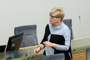 I. Šimonytė: prezidentas turėtų aiškiai pasakyti, kaip jis skaito pasirašytą dokumentą dėl Vokietijos brigados