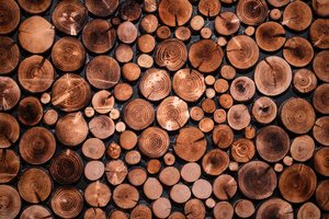 Ekskursijos po naujas parodas Prano Domšaičio galerijoje