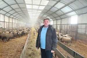 Narplioja avių augintojo bylą: persistengė prokurorai ar tadžikai iš tiesų nuo ryto iki vakaro per prievartą plušo ūkyje?