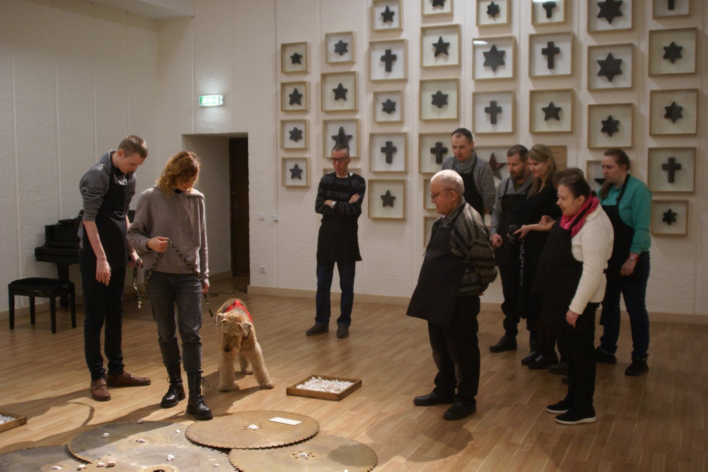 Maltos ordino šunims atsivėrė Lietuvos nacionalinio dailės muziejaus erdvės.<br> P.Domšaičio galerijos nuotr.