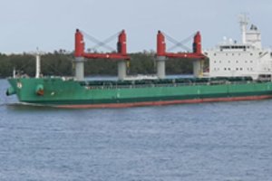 Laive nelegalus aptikęs kapitonas iš Lietuvos džiaugėsi, kad viską filmavo – kitaip galėjo turėti didelių nemalonumų