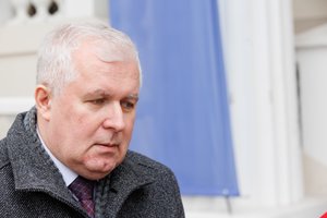 Lietuvoje svarstoma kurti kariuomenės diviziją