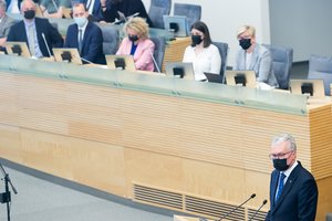 G. Nausėda: ne visiems ministrams pavyksta išlikti vertiems suteikto pasitikėjimo