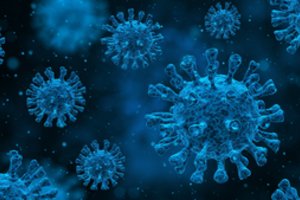 12 svarbiausių ir įdomiausių dalykų, kuriuos praėjusiais metais sužinojome apie virusus