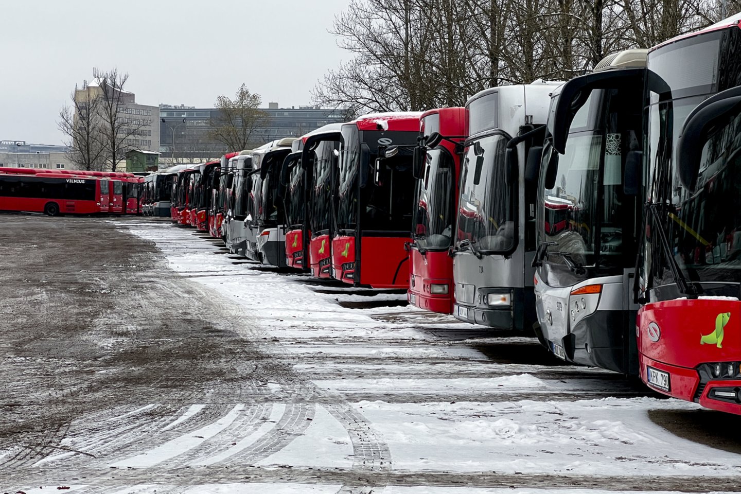„Vilniaus viešojo transporto“ administracijai pasiekus susitarimą su profsąjunga, pustrečios savaitės trukęs vairuotojų streikas sostinėje sustabdytas.<br>V.Ščiavinsko nuotr.