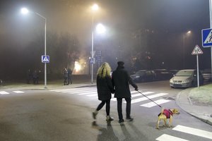 5 priežastys, kodėl reikia atsisakyti fejerverkų: parengė rekomendacijas, kaip padėti augintiniams ištverti Naujųjų metų naktį