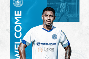 „Hegelmann“ gretose – daug žadantis vidurio saugas iš Brazilijos