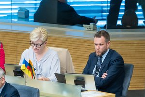 Įvertino Seimo, Prezidentūros ir Vyriausybės darbą 2022-aisiais: niekada anksčiau to nebuvo