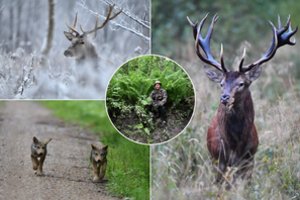 Gamtos fotografas R. Nalivaika fotoaparatą rankose laiko jau 50 metų: nuotraukos užburia ne tik lietuvius