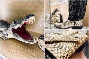 Muitinėje konfiskuojami trofėjai stebina: specialistai primena, kad svarbu domėtis ir daiktų kilme, ir sudėtimi