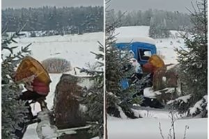 Reginys Utenos rajone privertė išsitraukti kamerą – stebėjosi tokia ūkininkų drąsa