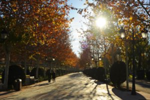 2022-ieji Ispanijoje buvo karščiausi metai nuo orų stebėjimo pradžios