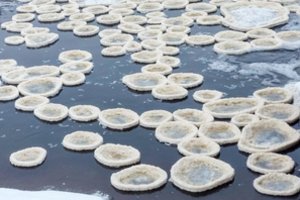 Stulbinantis reiškinys Nevėžyje: upėje pasirodė ledo „blyneliai“