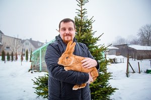 Triušius Panevėžio rajone auginančiam ūkininkui būtų gaila, jei jo augintiniai atsirastų ant pietų stalo