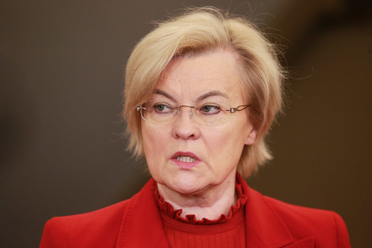 Viceministrė Danguolė Jankauskienė<br>R.Danisevičiaus nuotr.