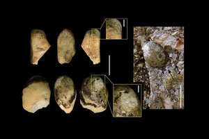 Mokslininkai: šiuos 50 000 metų senumo įrankius sukūrė visai ne žmonės