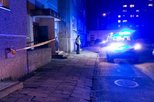 Aiškėja naujos detalės apie Šiauliuose nužudytą šešių dienų naujagimį: pareigūnai nusikaltimą vadina tragedija