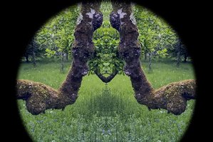 Renginyje „Pogulis“ – lopšinės kokonuose ir eksperimentinės elektronikos viražai