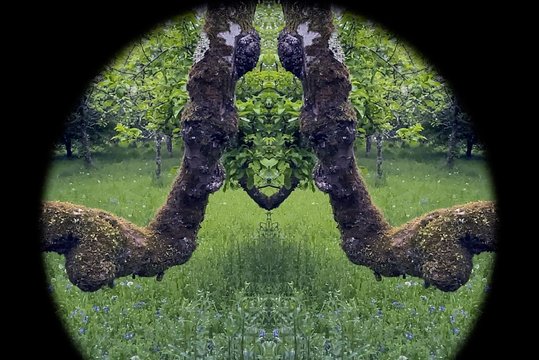 Renginyje „Pogulis“ – lopšinės kokonuose ir eksperimentinės elektronikos viražai