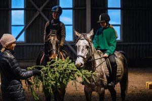 Po švenčių kviečia užsukti į žirgynus su gardžiomis dovanomis žirgams: jiems – tai įspūdingas delikatesas