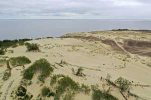 Smėlio takelis Kuršių nerijos nacionaliniame parke virto keliu: žala aplinkai gali viršyti 5,6 mln. eurų